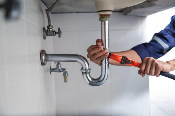 Best Local Plumber Services  in Mount Pleasant, MI